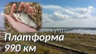 Платформа 990 км. Обшаровка. Карась и другая рыба на удочку