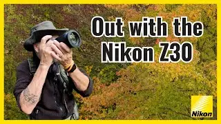 An Early Fall Outing with the Nikon Z30 | Landscape Photography