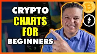 How To Read Crypto Charts - A Beginners Guide To Technical Analysis