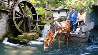 AZERBAIJAN Rural Life - Grandma and Grandpa's WONDERFUL Delicious Day