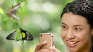 Facebook 15 Second Video Ads | Butterfly Wonderland