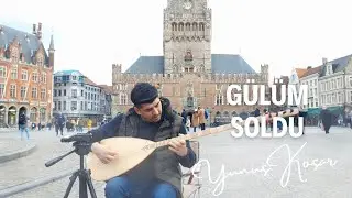 Yunus KOŞAR - GÜLÜM SOLDU