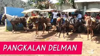 NAIK DELMAN ISTIMEWA