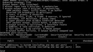 9 Port Security Sticky MAC Addresses