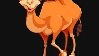 Camel sound effects 2016 animal nosies