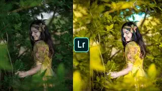 Lightroom Yellow Color Tone Photo Editing | Lightroom Photo Editing | Lr Photo Editing