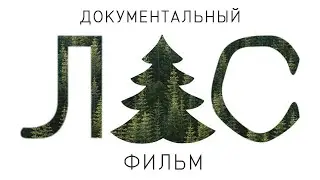 "ЛЕС" | Документальный фильм Максима Потапова | 8С Класс | 2021