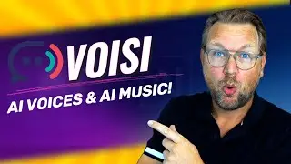 Voisi Review