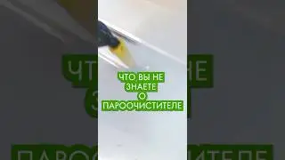 что вы не знаете о пароочистителе 