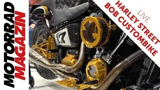 Goldig! Harley Street Bob Custom – Wenn ein Motorrad sogar unter Tausenden heraussticht