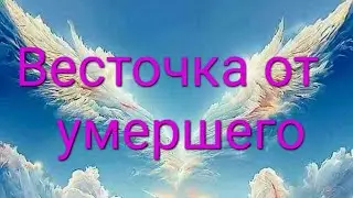 ✨️✨️🕊Весточка от умершего, от ушедшей в мир иной Души ✨️ ✨️