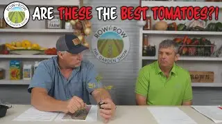 How To Grow Tomatoes | Indeterminates