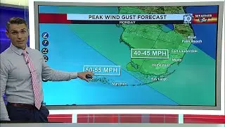 What can we expect in South Florida from Tropical Storm Laura?