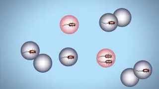 Droplet Digital PCR for Food Testing