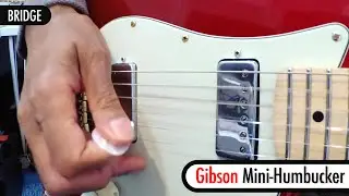 Gibson Firebird vs. Gibson Mini-Humbucker