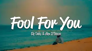 Ely Oaks, Alex D’Rosso - Fool For You (Lyrics)