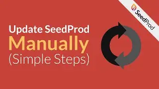 Simple Steps to Manually Update SeedProd