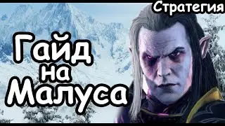 Гайд на Малуса. Эффективный старт. Темный Эльфы. (Легенда.) Total War: Warhammer 3.