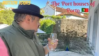 The Port houses of Porto  🇵🇹 . Taylor's and Calem