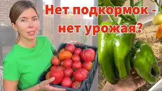 Можно ли вырастить хороший урожай только на природном земледелии?