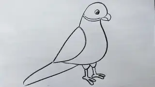 Parrot drawing tutorial !! pencil drawing!! how to draw a bird easy!! bird drawing tutorial!! Art'