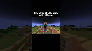 Minecraft Meme