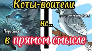 Коты-воители В ПРЯМОМ СМЫСЛЕ