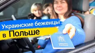 Беженцы в Польше из Украины. Вся необходимая информация