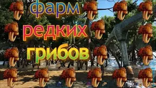 ARK РЕДКИЙ ГРИБ