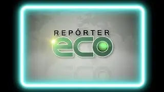 Intervalos Repórter Eco TV Cultura (27/12/2015)