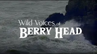 Wild Voices of Berryhead