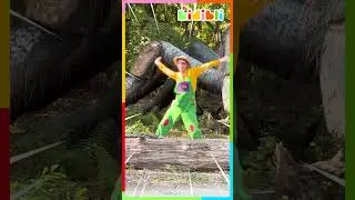 It was really fun to dance with my new friend 🕷️ | Kidibli 