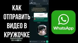 Как отправить Видеосообщение в кружочке в ватсапе, как сделать видео в кружочке в Whatsapp