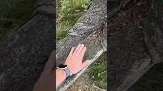 Уникальная скамейка в с. Щукино, Пензенская область (18.07.2024)