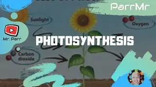 Photosynthesis Song