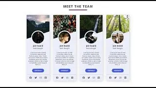 builde meet the team section using html and css only