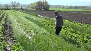 Боришоти борон ва таъсири он ба замин