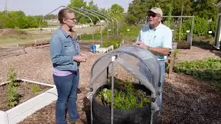 Oklahoma Gardening Episode #4818 (10/30/21)