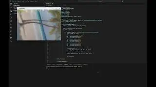 How to Build a Multi-Barcode Scanner in Python