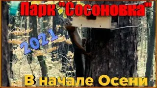 Парк 