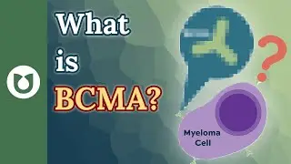 What is BCMA? 