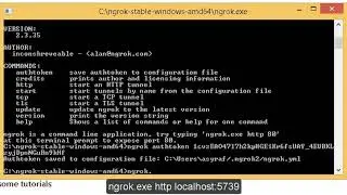 How to Access your local Web Server from anywhere without Proxy | ngrok.exe