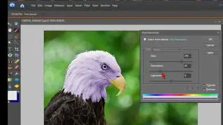 How To Change Color In An Image With Photoshop Elements
