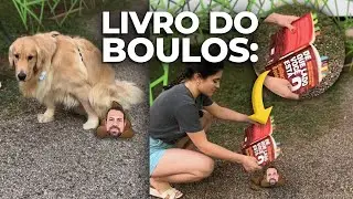 LI O LIVRO DO GUILHERME BOULOS e agora preciso de um ANALGÉSICO