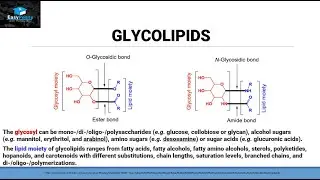 GLYCOLIPIDS