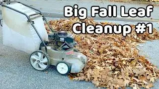 Big Fall Leaf Cleanup - Late October