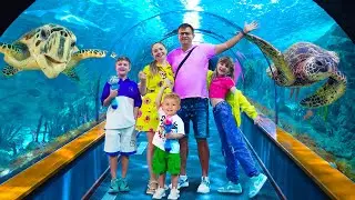 Семейный День в SeaWorld