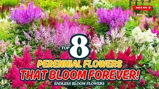 🌸 TOP 8 AMAZING PERENNIAL FLOWERS THAT BLOOM FOREVER! 🌿🌻 // Gardening Ideas