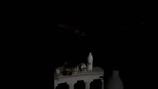 Ужин в Ялте, почти всё включено)