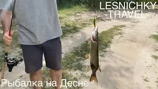 Рыбалка на Десне. Ловим щуку